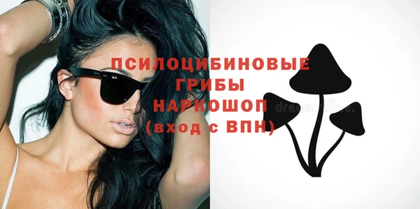 МДПВ Алексеевка