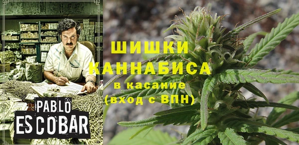 ПСИЛОЦИБИНОВЫЕ ГРИБЫ Алексин
