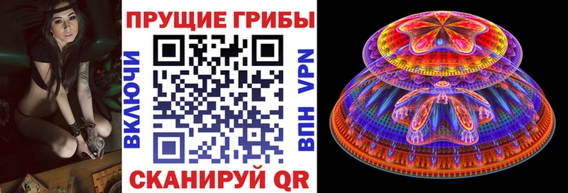 Галлюциногенные грибы мицелий  OMG зеркало  Элиста  хочу  
