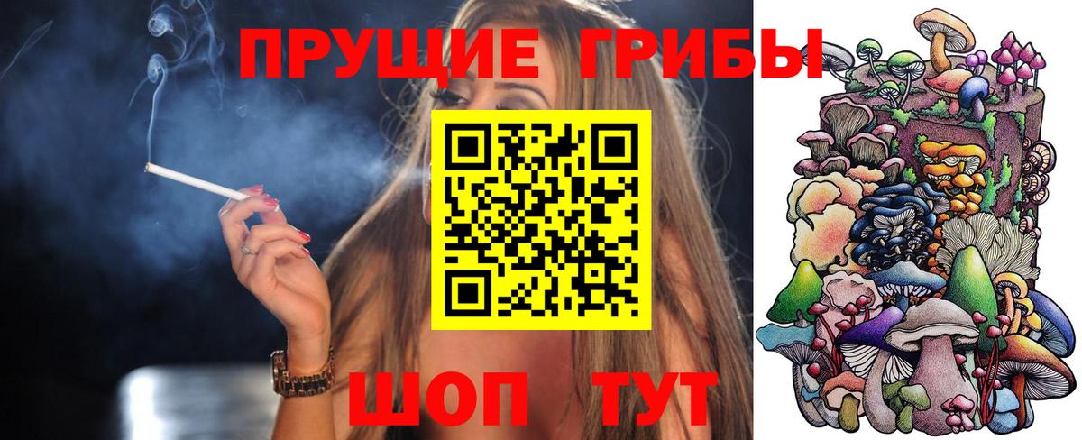 Элиста  Псилоцибиновые грибы мицелий  Вход с VPN 